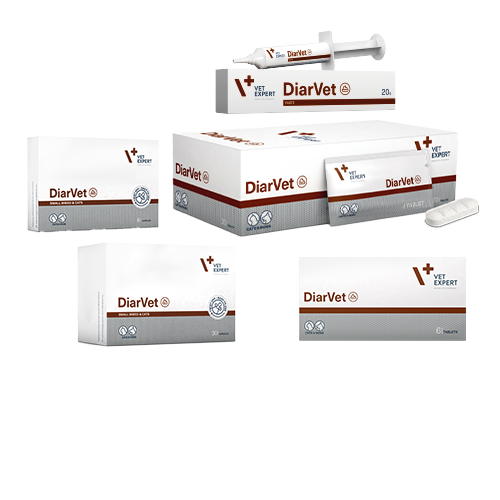 diarvet_ikogeniaki diarvet_ikogeniaki